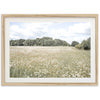 The Meadow - Shutter and Frame