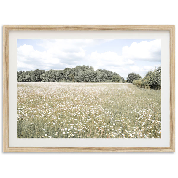 The Meadow - Shutter and Frame