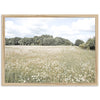 The Meadow - Shutter and Frame