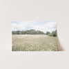 The Meadow - Shutter and Frame