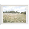 The Meadow - Shutter and Frame