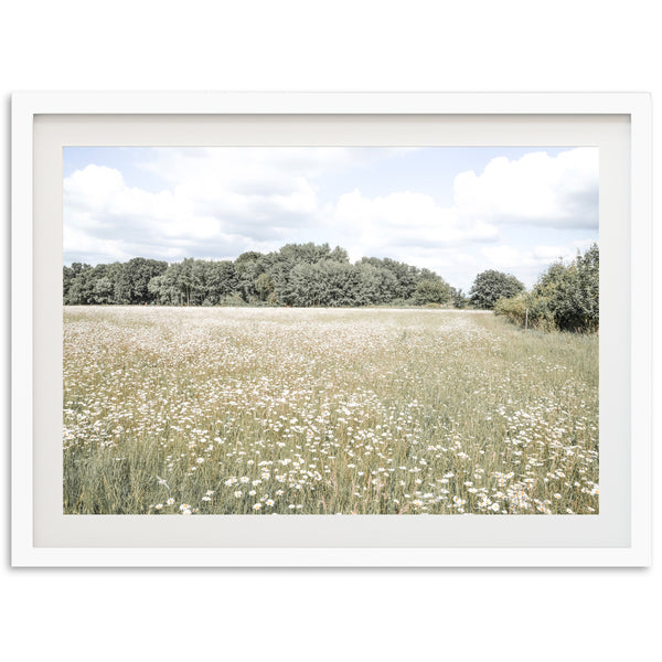 The Meadow - Shutter and Frame