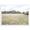 The Meadow - Shutter and Frame