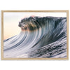 Glassy - Shutter and Frame