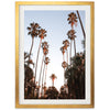 Beverly Hills - Shutter and Frame