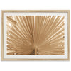 Palma - Shutter and Frame