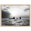 Sunset Session II - Shutter and Frame
