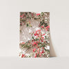 Bougainvillea - Shutter and Frame