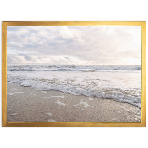 Frothy - Shutter and Frame