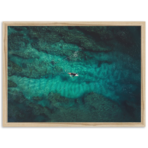 Through the Reef - Shutter and Frame
