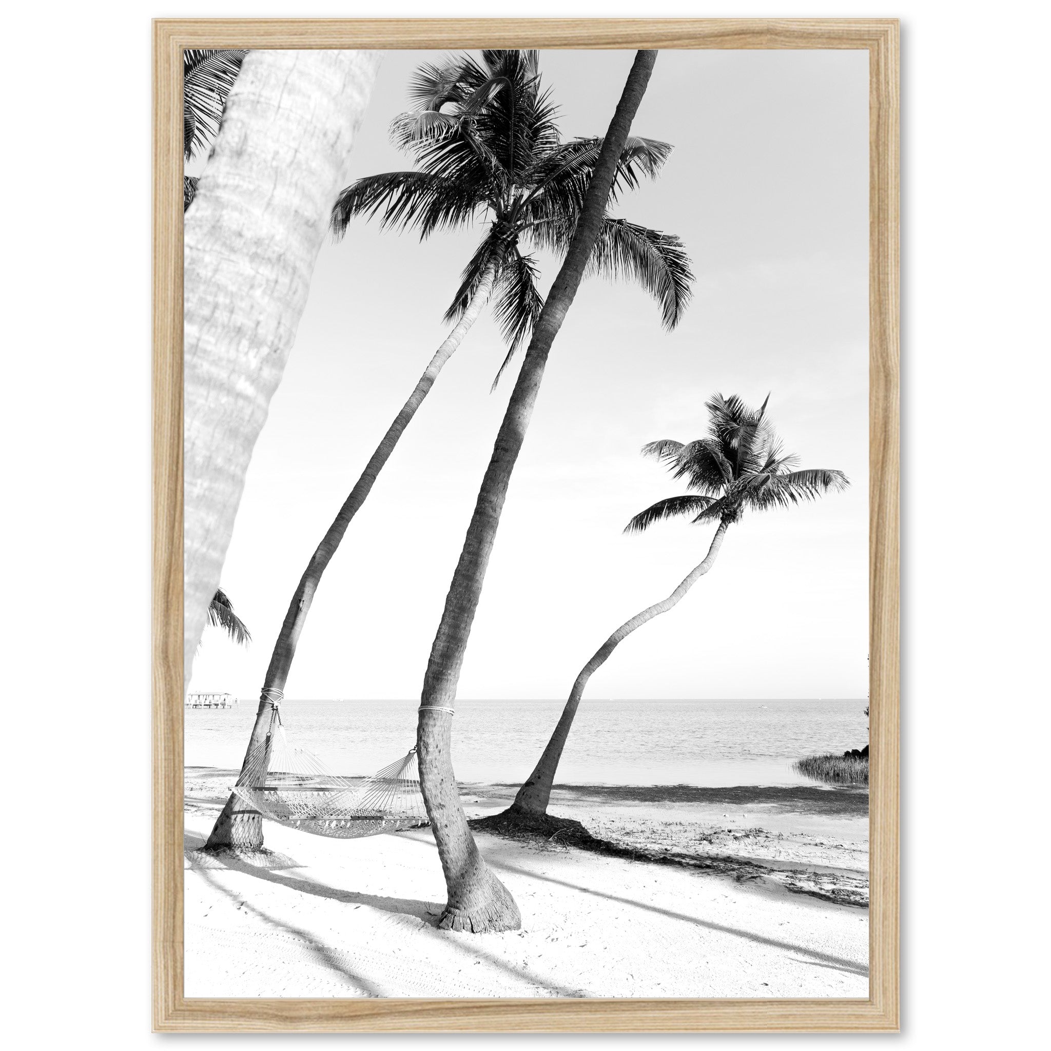 Hammock - Shutter and Frame