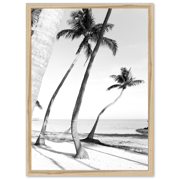 Hammock - Shutter and Frame