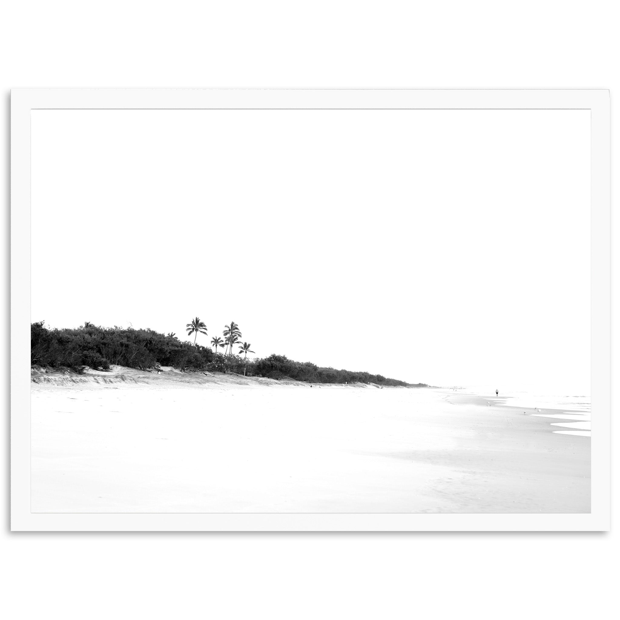 Balance - Shutter and Frame