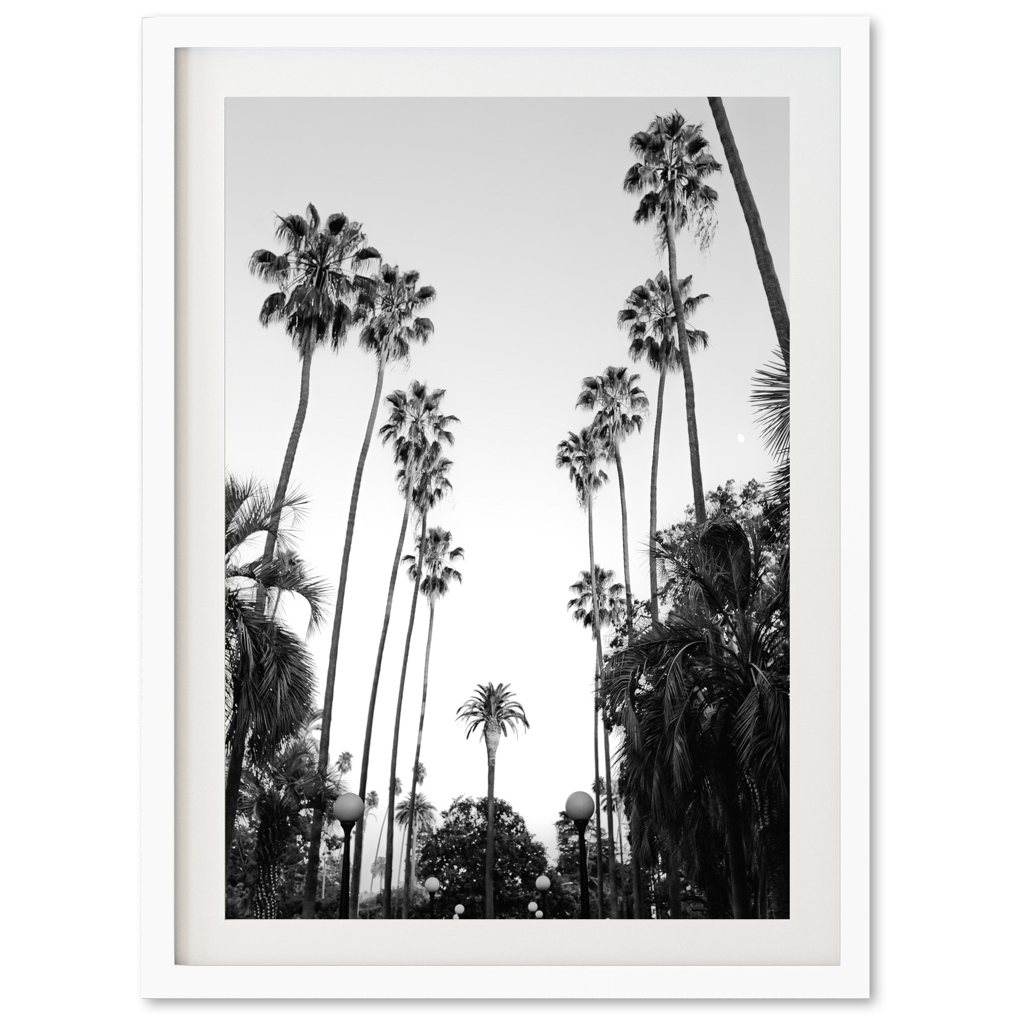 Beverly Hills II - Shutter and Frame