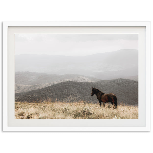 Open Range - Shutter and Frame