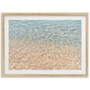 Shimmer - Shutter and Frame