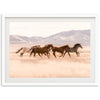 Gallop - Shutter and Frame