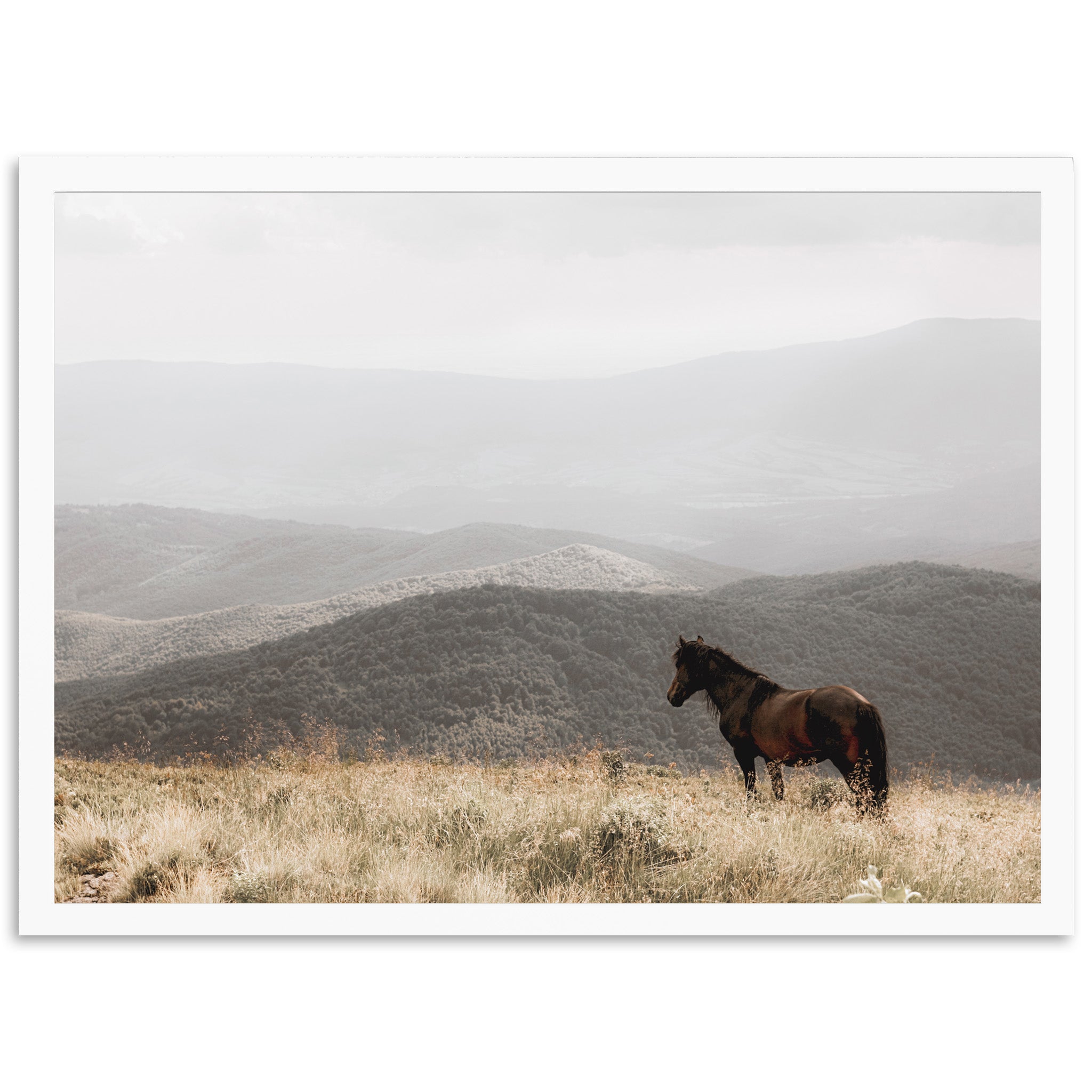 Open Range - Shutter and Frame