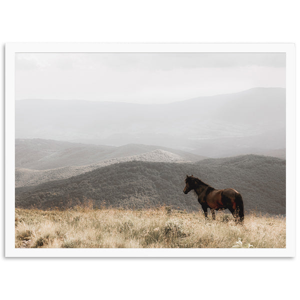 Open Range - Shutter and Frame