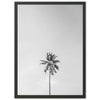 One Palm - Shutter and Frame