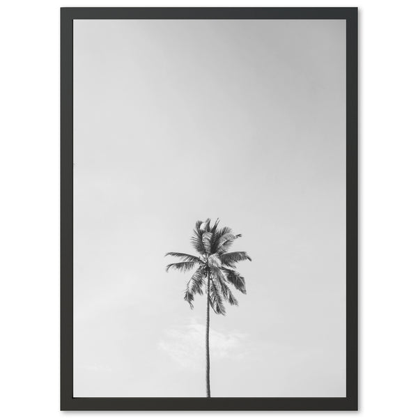 One Palm - Shutter and Frame