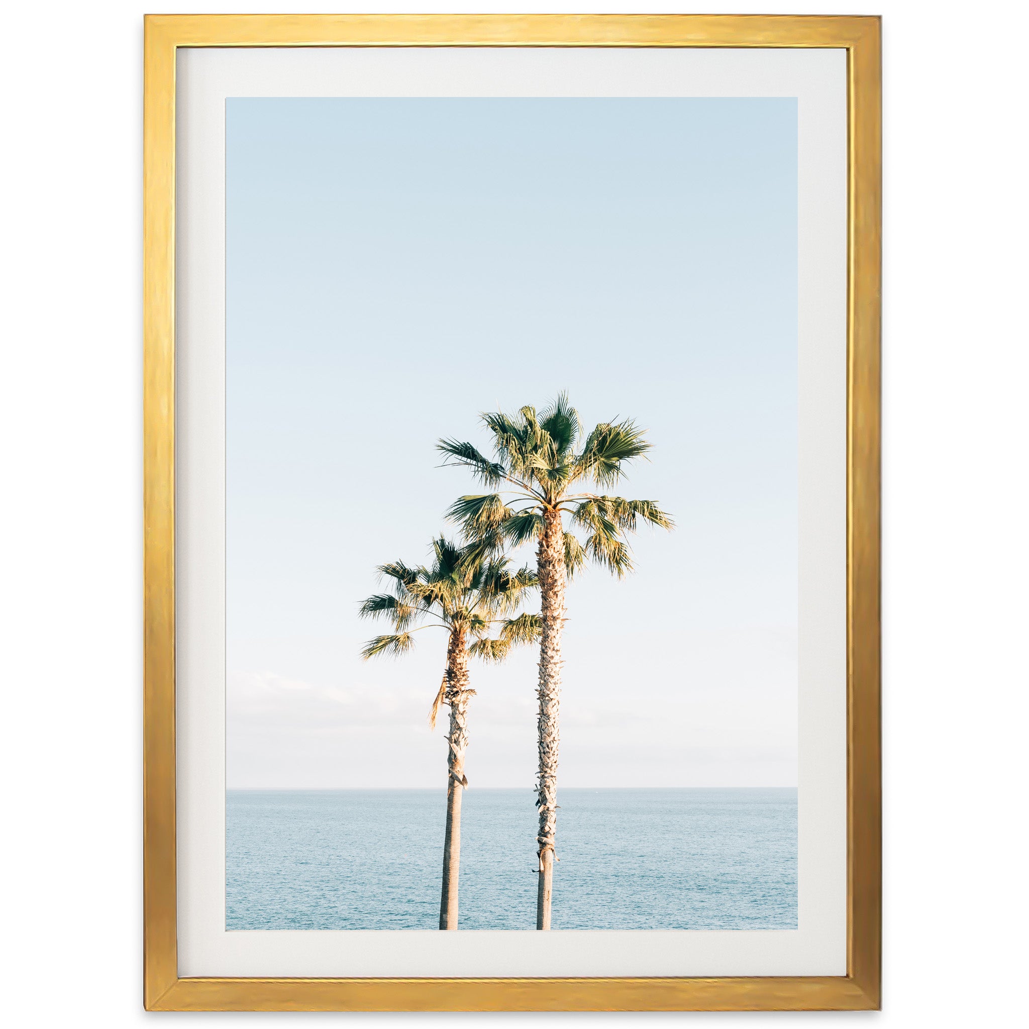 Ocean Palms - Shutter and Frame
