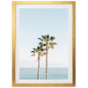 Ocean Palms - Shutter and Frame