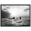 Sunset Session II - Shutter and Frame