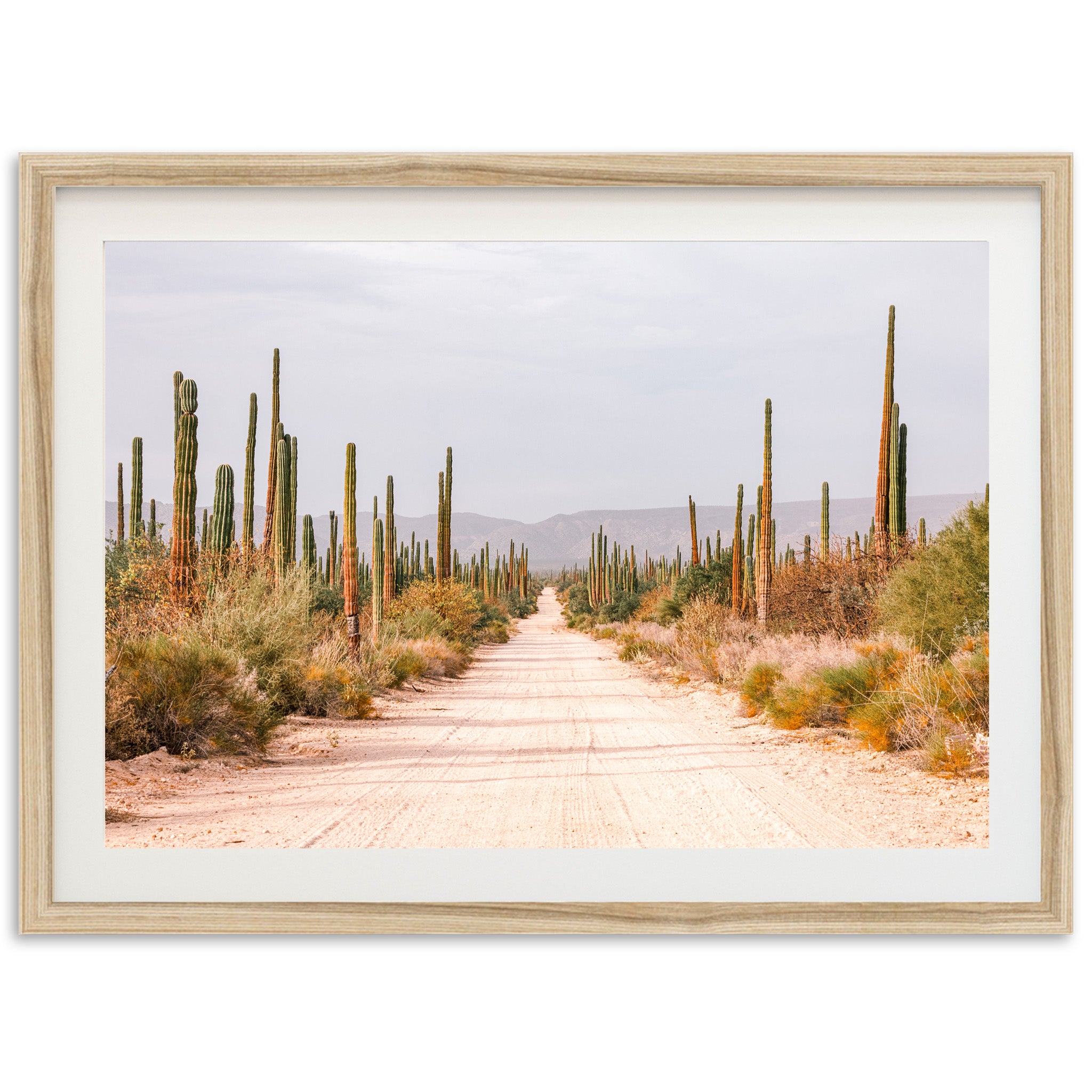 El Camino - Shutter and Frame