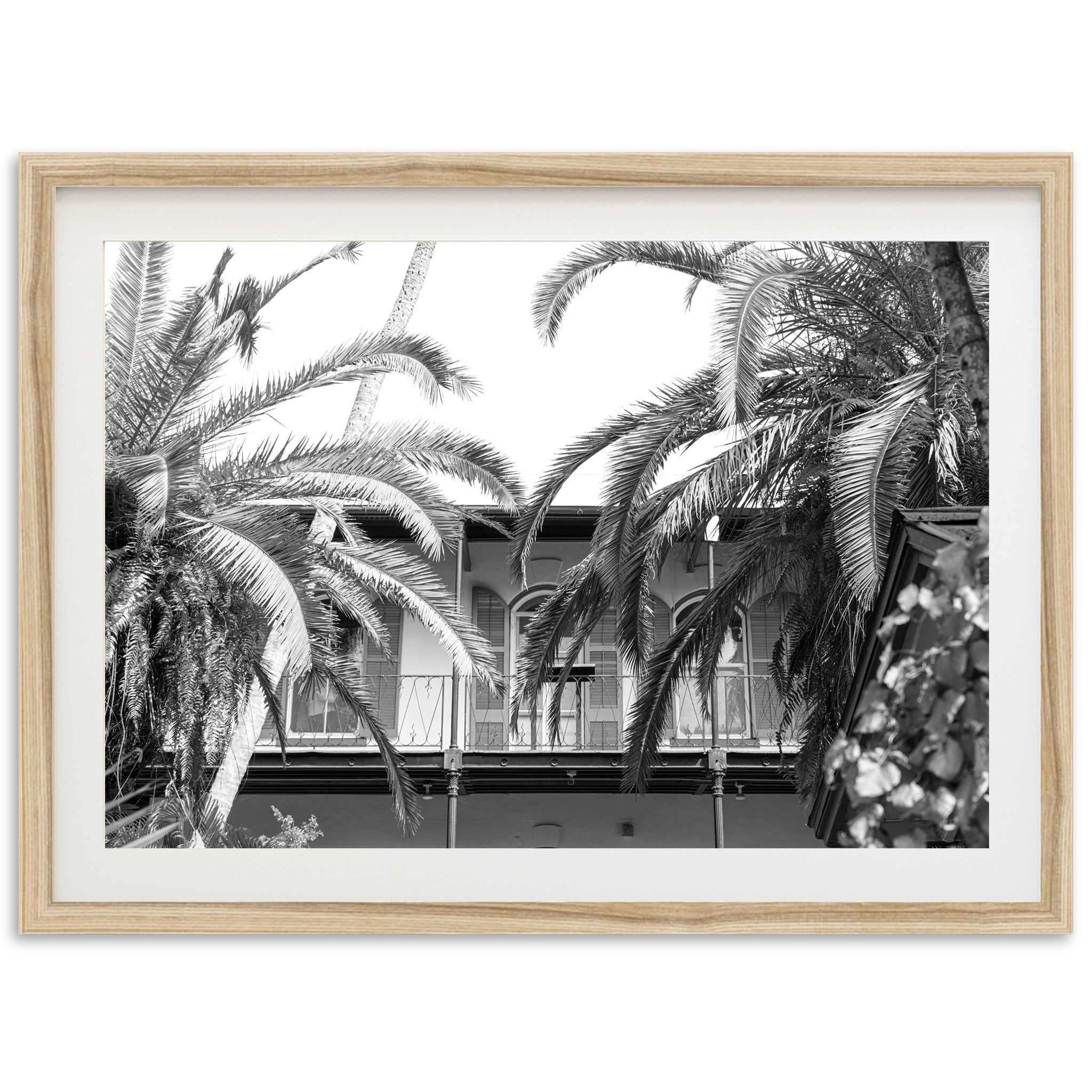 House of Hemingway - Shutter and Frame