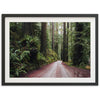 Redwood Road - Shutter and Frame