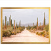 El Camino - Shutter and Frame