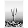 Beach Cactus II - Shutter and Frame