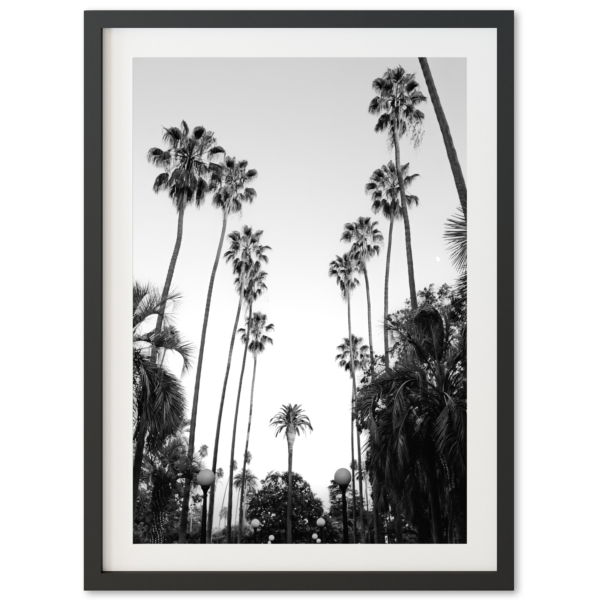 Beverly Hills II - Shutter and Frame
