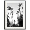 Beverly Hills II - Shutter and Frame