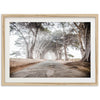 Tunnel Vision - Shutter and Frame