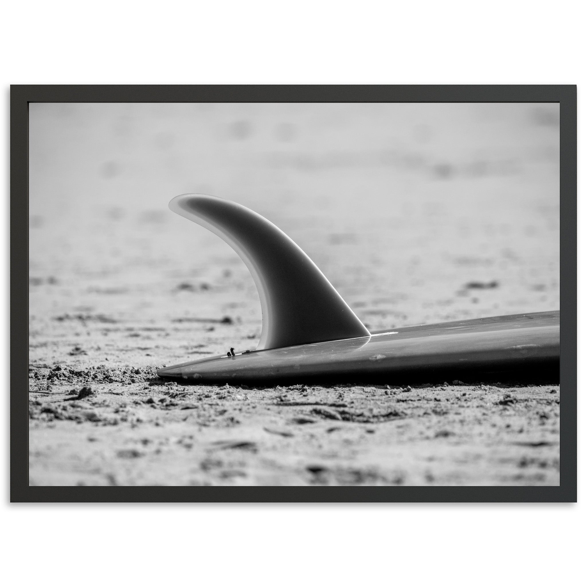 Single Fin - Shutter and Frame