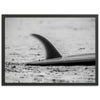 Single Fin - Shutter and Frame