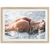 Splash - Shutter and Frame