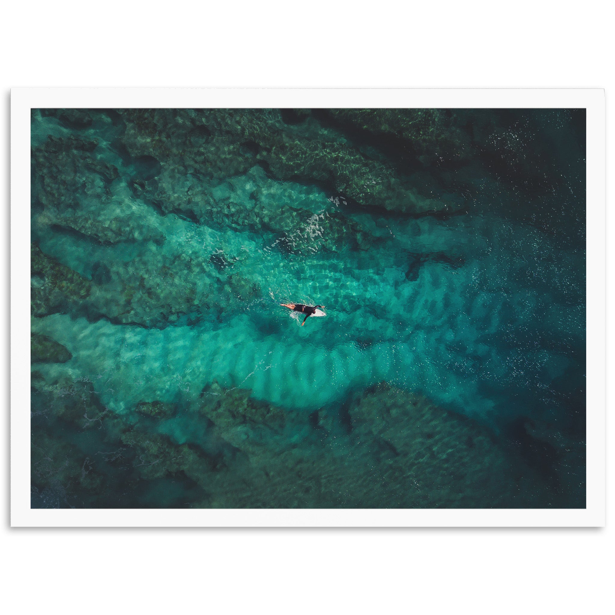 Through the Reef - Shutter and Frame