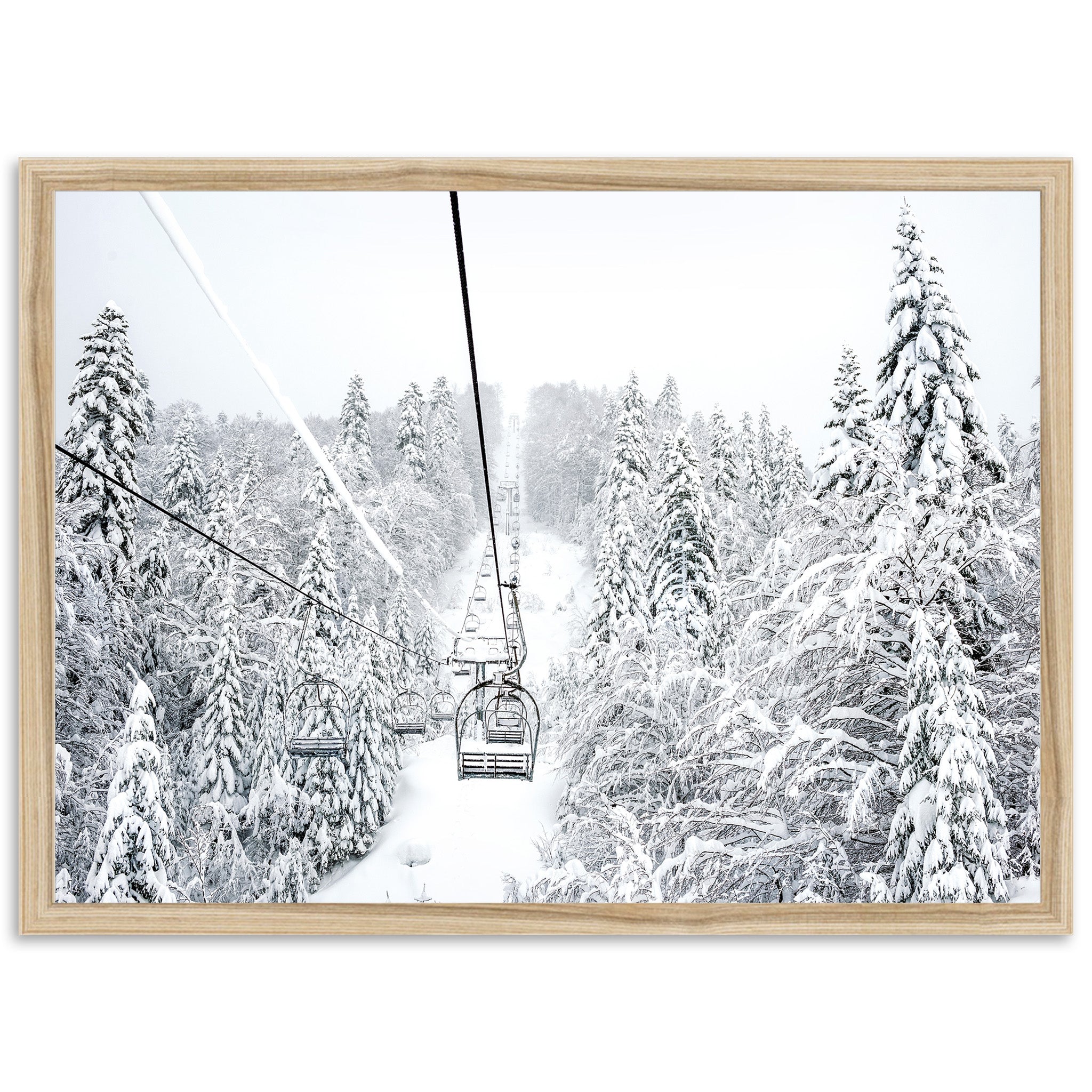 Winter Holiday - Shutter and Frame