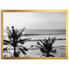 Indo Swell II - Shutter and Frame