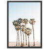 Beach Palms - Shutter and Frame