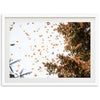 Monarchs - Shutter and Frame
