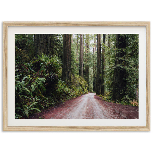 Redwood Road - Shutter and Frame