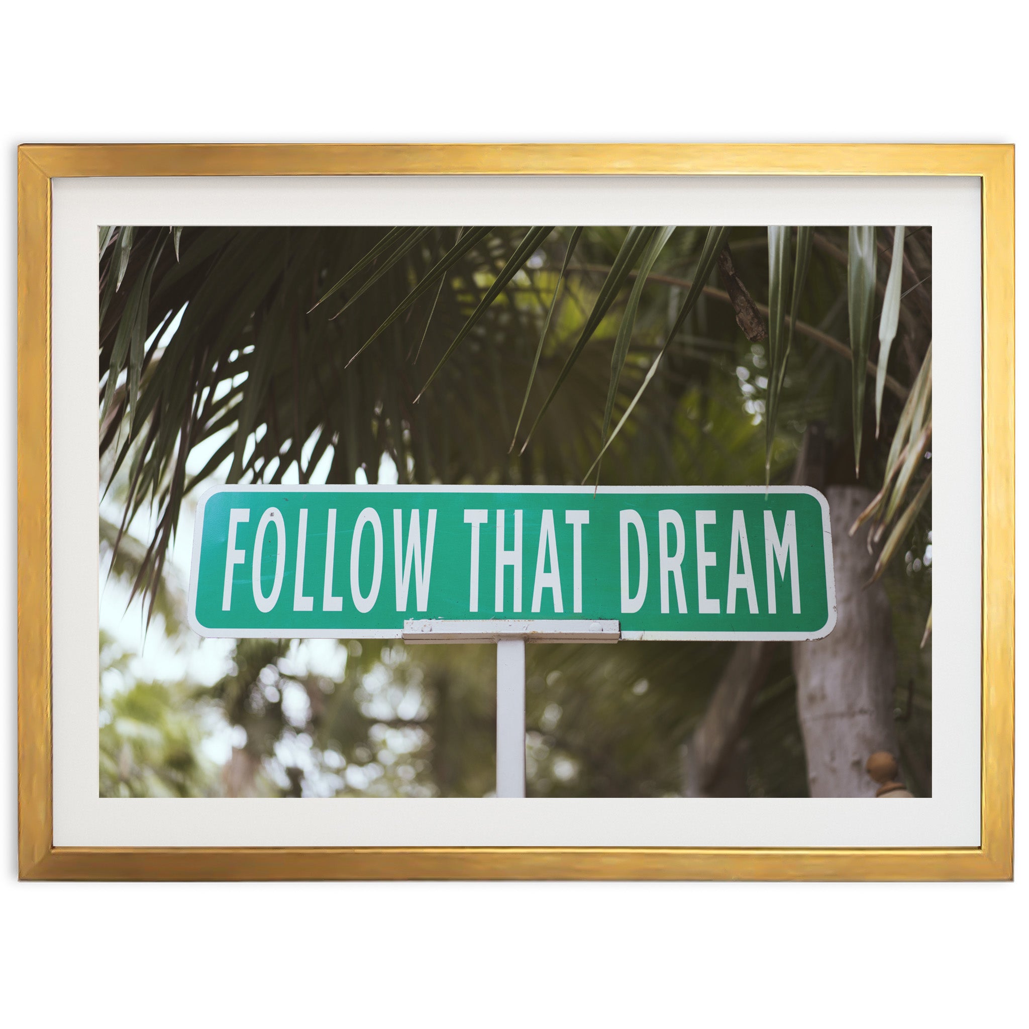 Follow that Dream - Shutter and Frame