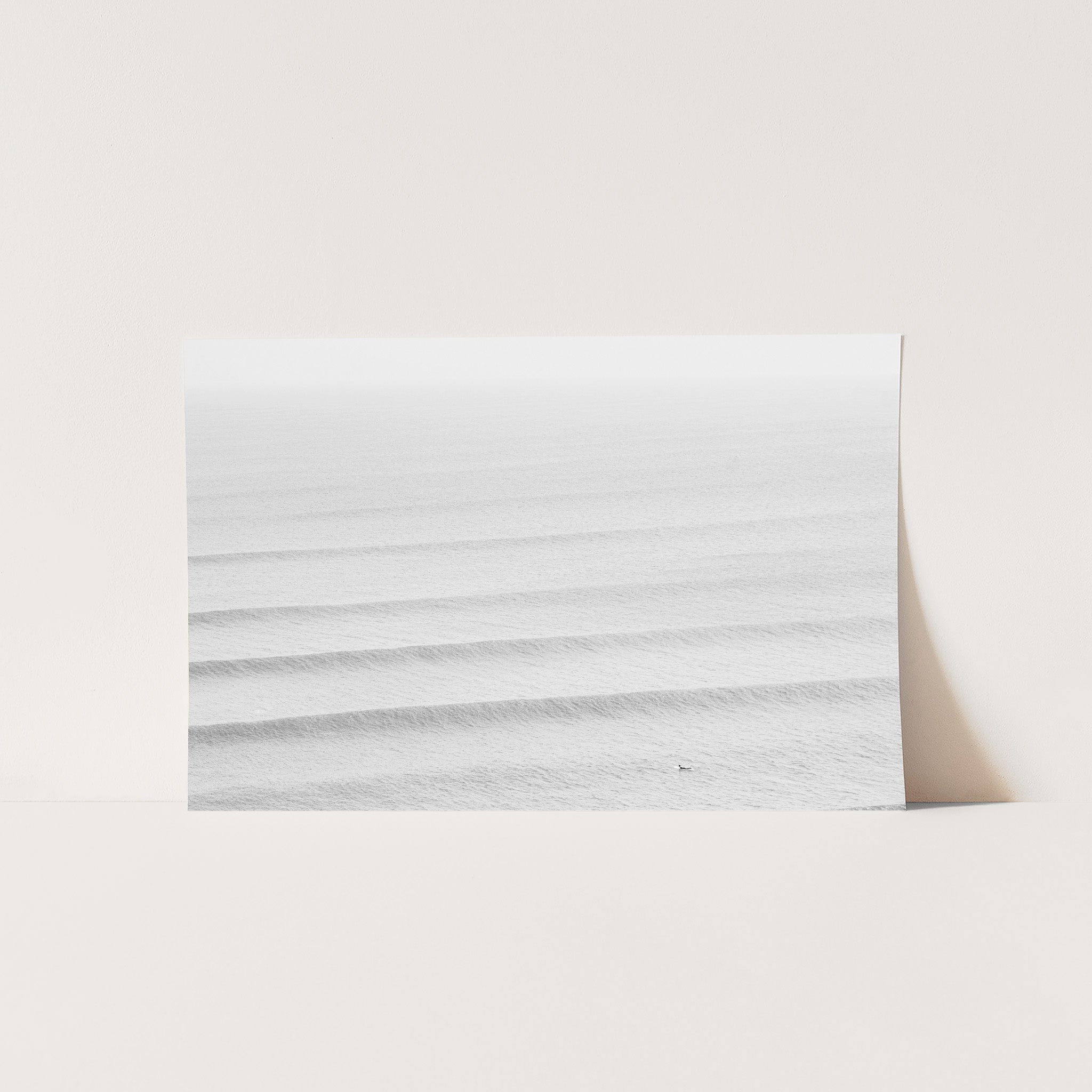 Pulse II - Shutter and Frame