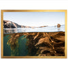 Kelp Forest - Shutter and Frame