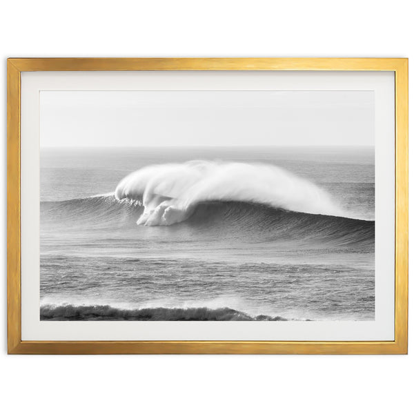 Goliath - Shutter and Frame