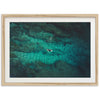 Through the Reef - Shutter and Frame